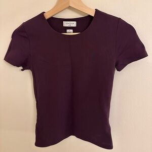 Aritzia Plum Short-Sleeve Fitted Top